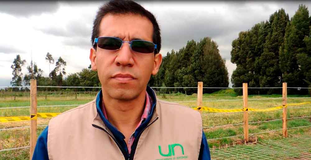 Carlos Martín Molina