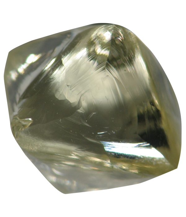 Foto: Marcos Paulo Alencar de Carvalho Borges